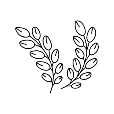 Pirinç, bitki filizi. Buğday ekin kulağı. Taslak izole edilmiş simgeler. Logo ve baskı için el çizimi vektör çizimi. Doğal organik ürün için siyah karalama amblemi. Beyaz arkaplanda resim çiz