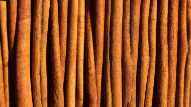 Tarçın ya da cassia çubuklarını yakından çek. Yatay doku arka planı, yemek posteri şablonu, afiş. Ağaç kabuğundan baharat. Tek renkli çikolatalı kahve rengi. Doğa konsepti. Sert güneş ışığı, düz uzanma