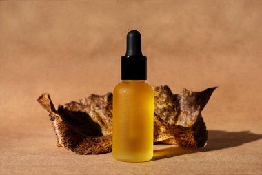 Siyah kapaklı yağ şişesi, kağıt kaplama, kuru yapraklar. Yatay monokrom kahverengi maketi. Sonbahar posteri. Doğal organik kozmetik, losyon, öz. Biyofili, terracotta tuğla rengi