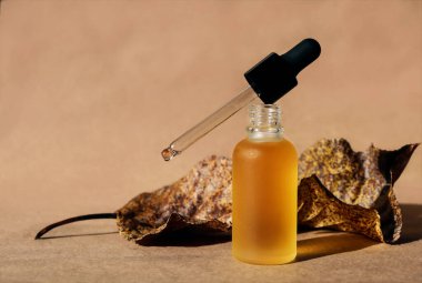 Siyah damlacıklı yağ şişesi, kağıt kaplama, kuru yapraklar. Yatay monokrom kahverengi maketi. Sonbahar posteri, afiş, kopyalama alanı. Doğal organik kozmetik, losyon, öz. Biyofili