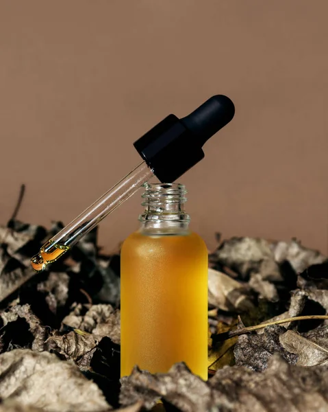 Vertical Mockup Glass Oil Bottle Black Dropper Removed Dry Leaves — Stock Photo, Image