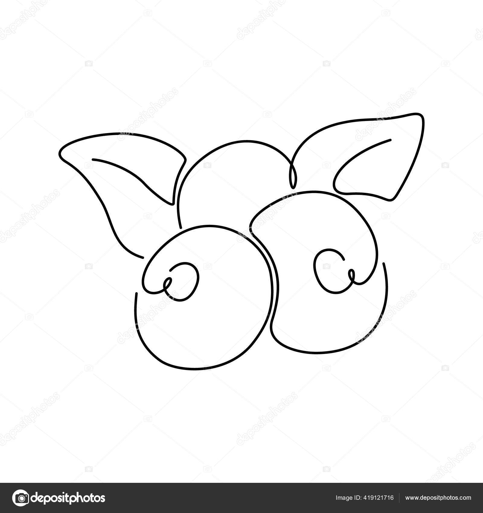 Blueberry Acai One Continuous Line Thin Linear Drawing Berries Leaves Vector Image By C Akininamarina Vector Stock