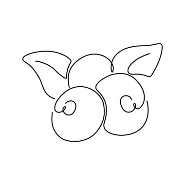 Yabanmersini ya da acai, tek sıra halinde. Yuvarlak böğürtlenlerin ince çizgisel çizimi. Siyah karalama ikonu. Şekil verilmiş el çizimi illüstrasyon. İçerik izole vektörü, beyaz arkaplan