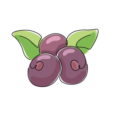 Acai, siyah sürekli bir çizgi ile renk simgesi. Yeşil yapraklı kırmızı böğürtlenlerin ince çizgisel çizimi. Şekil verilmiş el çizimi illüstrasyon. İzole vektör amblemi, beyaz arkaplan