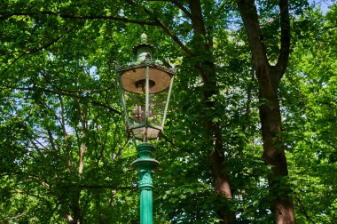 Gazla çalışan ve Berlin 'deki bir parkta duran tarihi ve işlevsel sokak lambası..