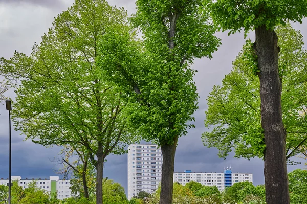 Berlin, Almanya 'da gökdelenler. Kasvetli fırtına bulutları tarafından çerçevelenmiş sokak ağaçlarının arkasında..