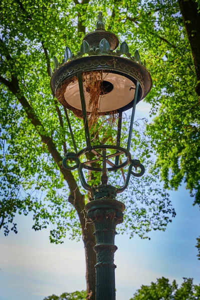 Lâmpada Rua Histórica Que Foi Alimentado Por Gás Fica Parque — Fotografia de Stock