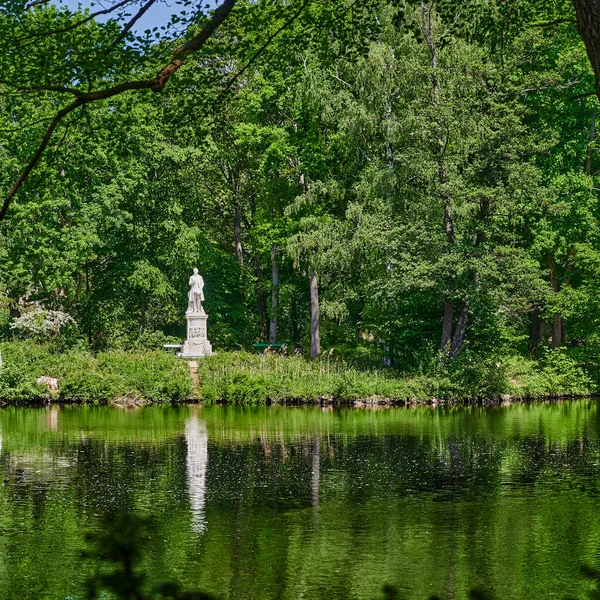 Rural Scene Public Park Middle Capital Berlin Germany View Trees — Stock Photo, Image