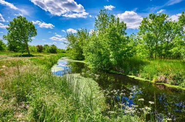 Berlin, Almanya 'nın çevresindeki küçük bir derenin üzerinde mavi ve bulutlu bir gökyüzü.