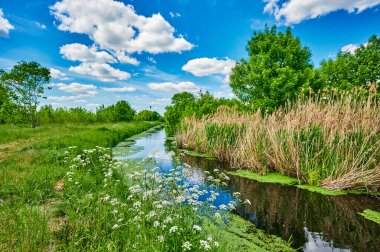 Berlin, Almanya 'nın çevresindeki küçük bir derenin üzerinde mavi ve bulutlu bir gökyüzü.