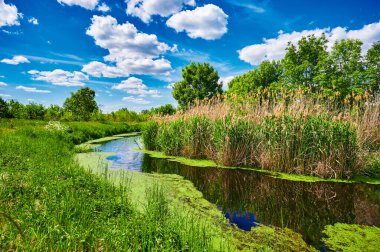 Berlin, Almanya 'nın çevresindeki küçük bir derenin üzerinde mavi ve bulutlu bir gökyüzü.