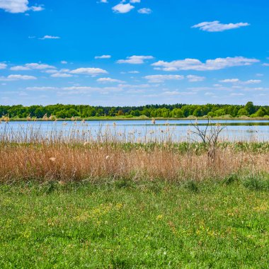Almanya 'nın Sperenberg yakınlarındaki bir gölün üzerinde mavi ve bulutlu bir gökyüzü.