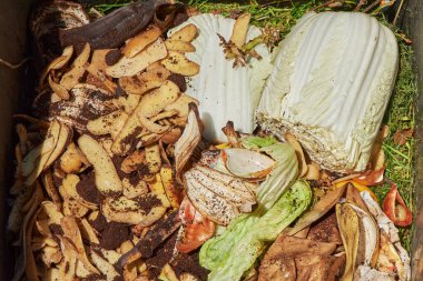 Geri dönüşüm için patates ve salata gibi çeşitli organik atıklarla dolu bir biyolojik konteynere bakın..