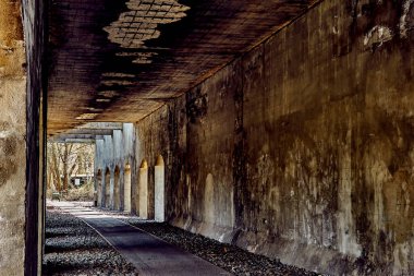 19. yüzyılın sonlarında Almanya 'nın başkenti Berlin' de bulunan ve şu anda patika olarak kullanılan eski bir yük istasyonunun terk edilmiş demiryolu alt geçidi. Fotoğraf klasik tarzda düzenlenmiş..