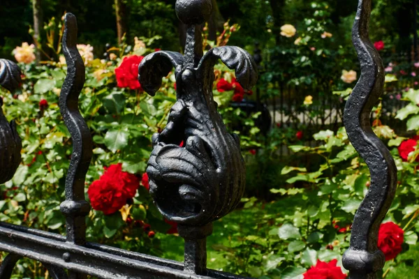 View Old Cast Iron Fence Foreground Roses Garden — Stock Photo, Image
