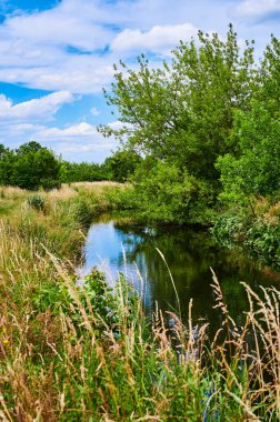 Berlin, Almanya 'nın çevresindeki küçük bir derenin üzerinde bulutlu bir gökyüzü.