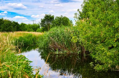 Berlin, Almanya 'nın çevresindeki küçük bir derenin üzerinde bulutlu bir gökyüzü.