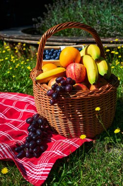 Sarı çiçekli bir çayırda güneş ışığında bir sepet meyve..