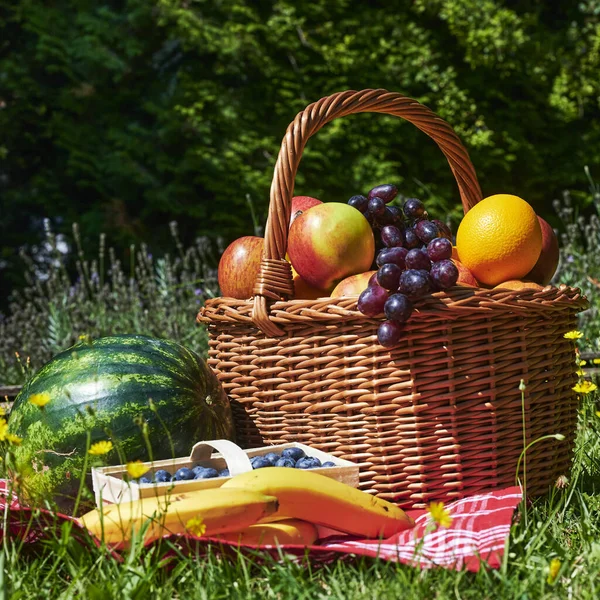 Panier Fruits Variés Lumière Soleil Sur Une Prairie Aux Fleurs — Photo