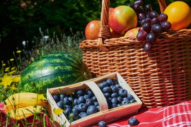 Sarı çiçekli bir çayırda güneş ışığında bir sepet meyve..