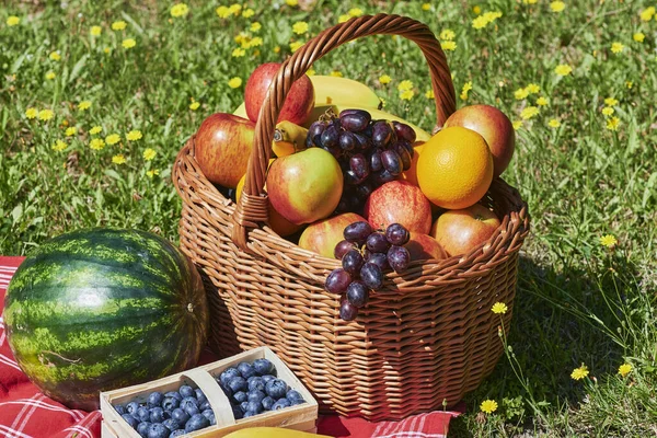 Panier Fruits Variés Lumière Soleil Sur Une Prairie Aux Fleurs — Photo