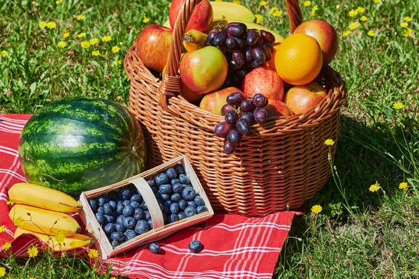 Korb Mit Verschiedenen Früchten Sonnenlicht Auf Einer Wiese Mit Gelben — Stockfoto