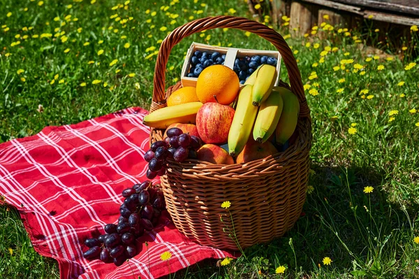 Basket Various Fruits Sunlight Meadow Yellow Flowers — Stock Photo, Image