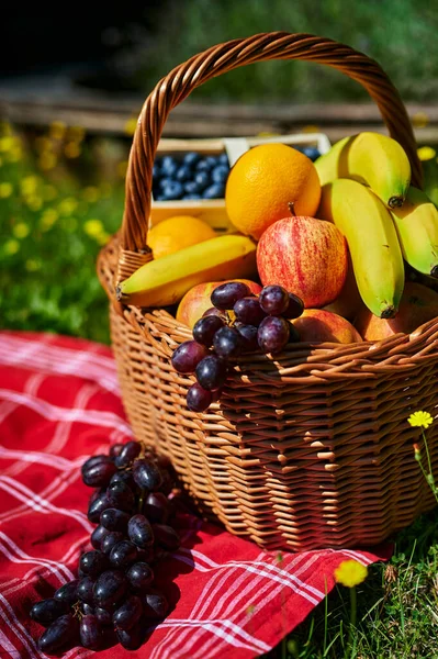 Cesta Vários Frutos Luz Solar Prado Com Flores Amarelas — Fotografia de Stock