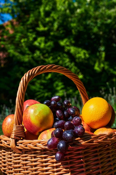 Macro Shot Panier Fruits Variés Soleil — Photo