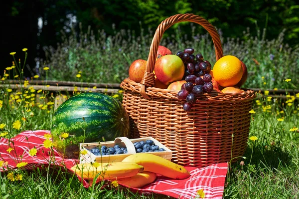Basket Various Fruits Sunlight Meadow Yellow Flowers — Stock Photo, Image
