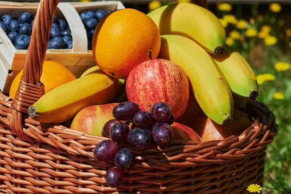 Panier Fruits Variés Lumière Soleil Sur Une Prairie Aux Fleurs — Photo