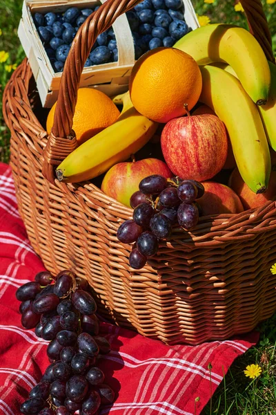 Basket Various Fruits Sunlight Meadow Yellow Flowers — Stock Photo, Image
