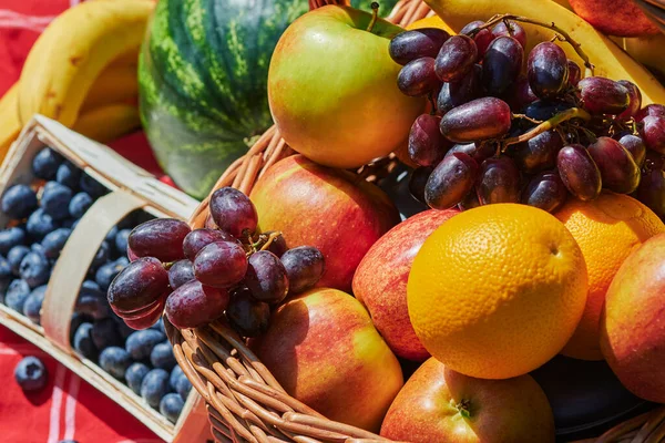 Makroaufnahme Eines Korbs Mit Verschiedenen Früchten Sonnenlicht — Stockfoto