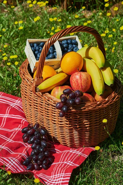 Basket Various Fruits Sunlight Meadow Yellow Flowers — Stock Photo, Image