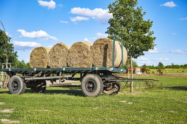 Gammal Släpvagn Med Halmbalar Som Står Äng — Stockfoto