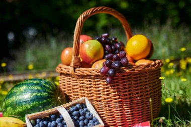 Sarı çiçekli bir çayırda güneş ışığında bir sepet meyve..