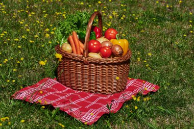 Sarı çiçekli bir çayırda güneş ışığında bir sepet sebze..