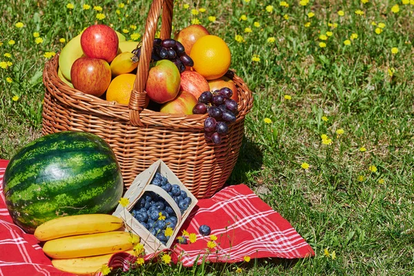 Basket Various Fruits Sunlight Meadow Yellow Flowers — Stock Photo, Image