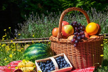 Sarı çiçekli bir çayırda güneş ışığında bir sepet meyve..
