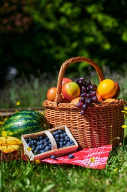 Sarı çiçekli bir çayırda güneş ışığında bir sepet meyve..