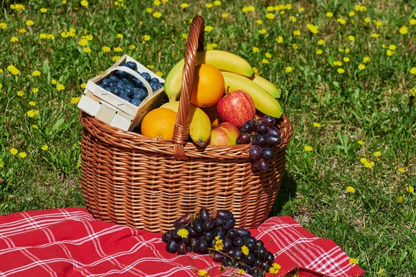 Basket Various Fruits Sunlight Meadow Yellow Flowers — Stock Photo, Image