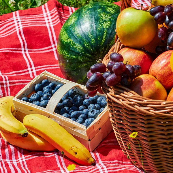 Basket Various Fruits Sunlight Meadow Yellow Flowers — Stock Photo, Image