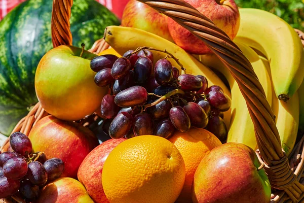 Macro Shot Panier Fruits Variés Soleil — Photo