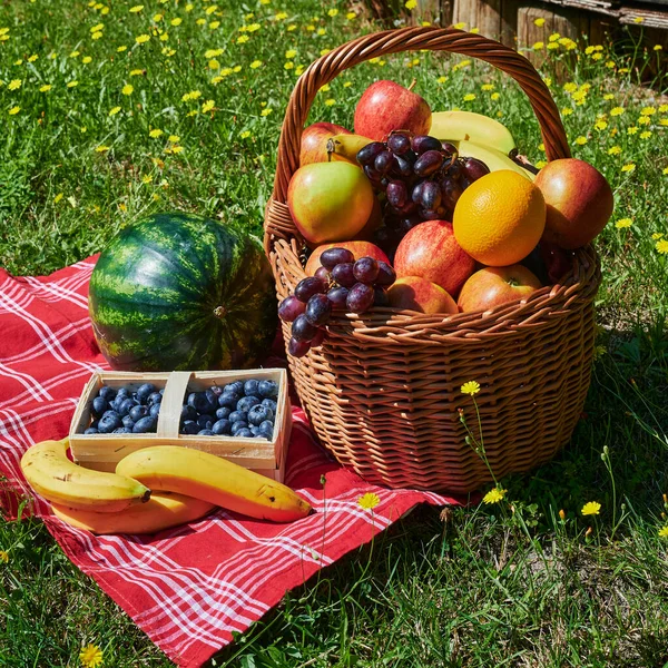 Basket Various Fruits Sunlight Meadow Yellow Flowers — Stock Photo, Image