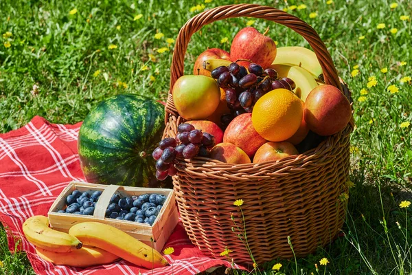 Basket Various Fruits Sunlight Meadow Yellow Flowers — Stock Photo, Image