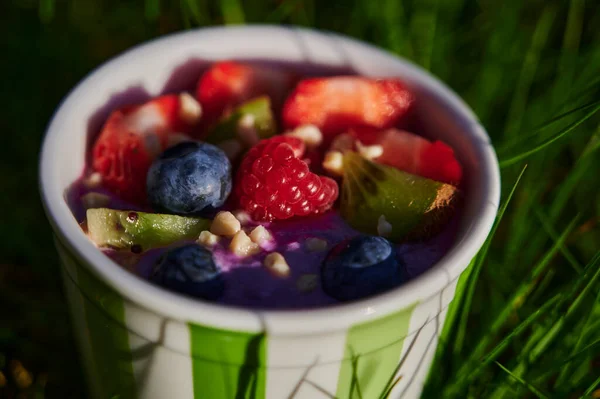 Makro Strzał Małej Miski Różnych Owoców Jogurtu Jako Zdrowej Wegańskiej — Zdjęcie stockowe