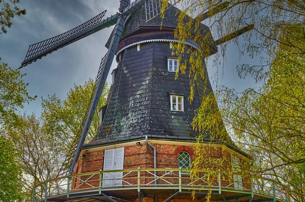 Historic Restored Windmill Berlin Germany Birch Trees Spring — Stock Photo, Image