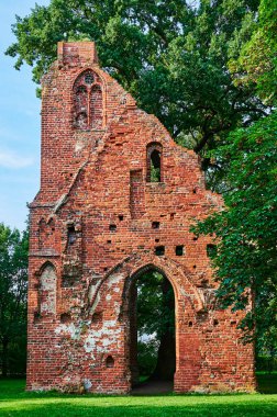 Almanya 'nın Greifswald kentindeki bir halk parkındaki ortaçağ manastırı yıkıldı..
