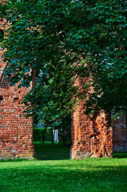 Almanya 'nın Greifswald kentindeki bir halk parkındaki ortaçağ manastırı yıkıldı..