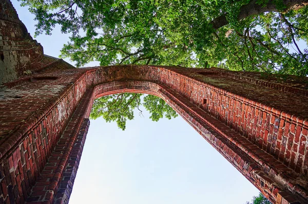 中世の荒廃した修道院 ドイツ グリフスヴァルトの公園 — ストック写真